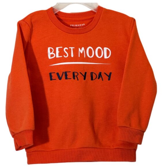 Boy's Sweatshirts Set of 3 Size 2-3Y - Picture 2 of 13